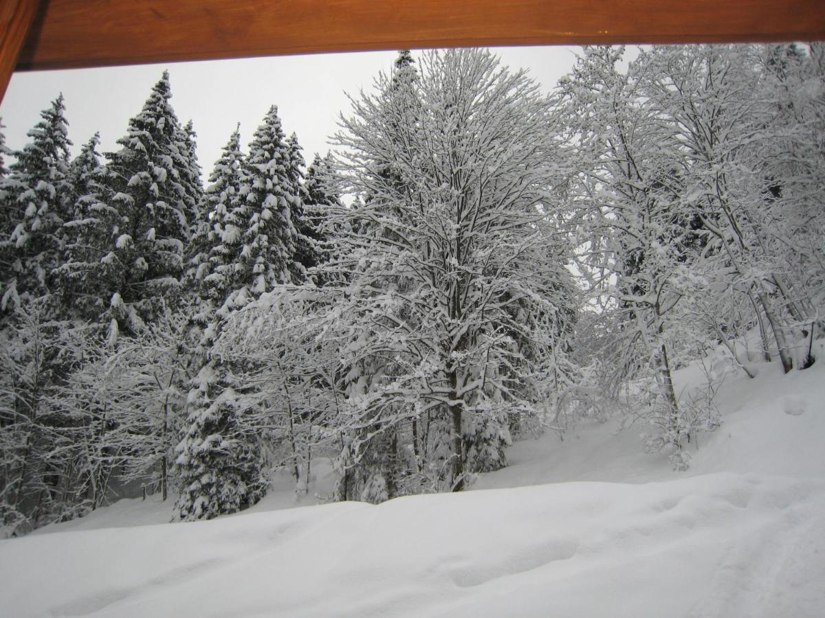 Ski-In Ski-Out Chalet Kriekels - By Alpen Apartments Zell am See Luaran gambar